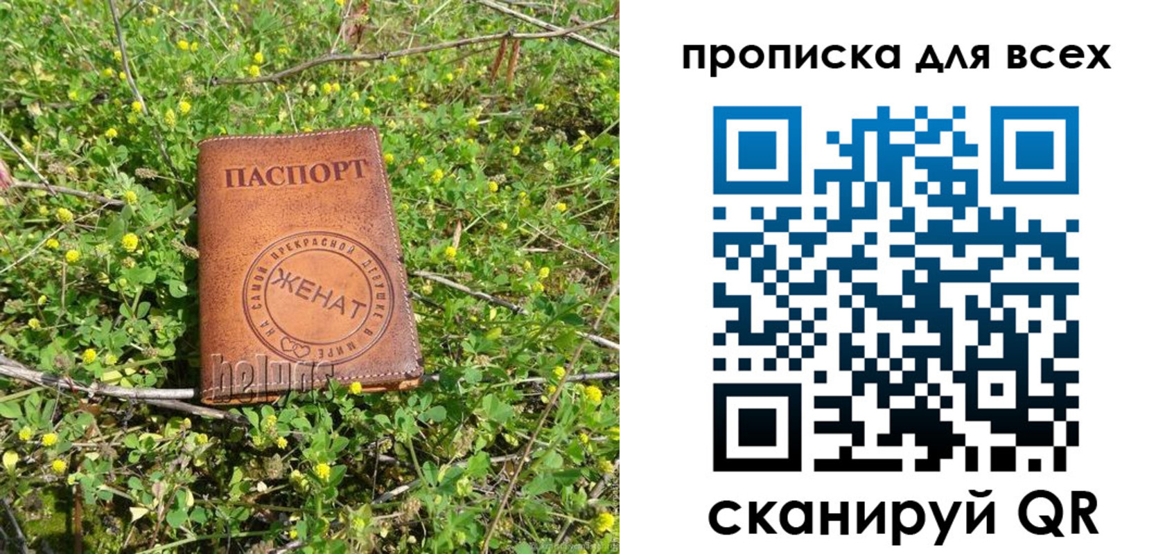 прописка поиск в Южноуральске